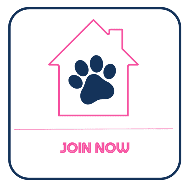 A pink and blue icon with the words " join now ".